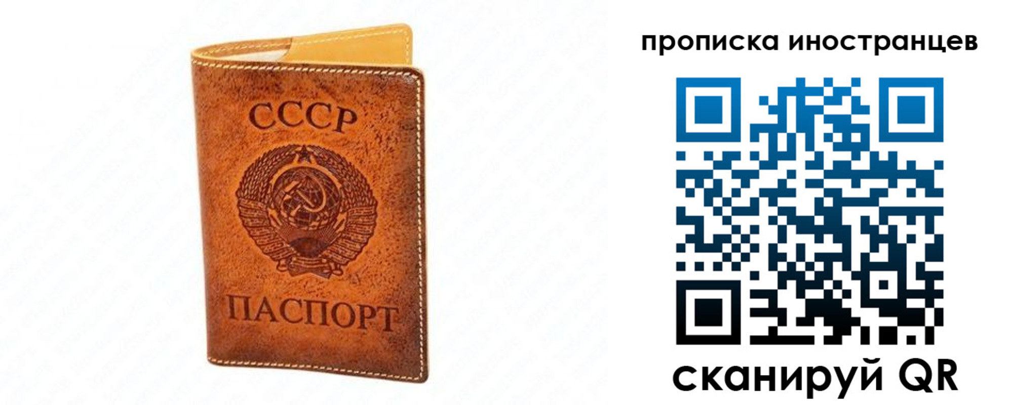 прописка для школы в Бийске